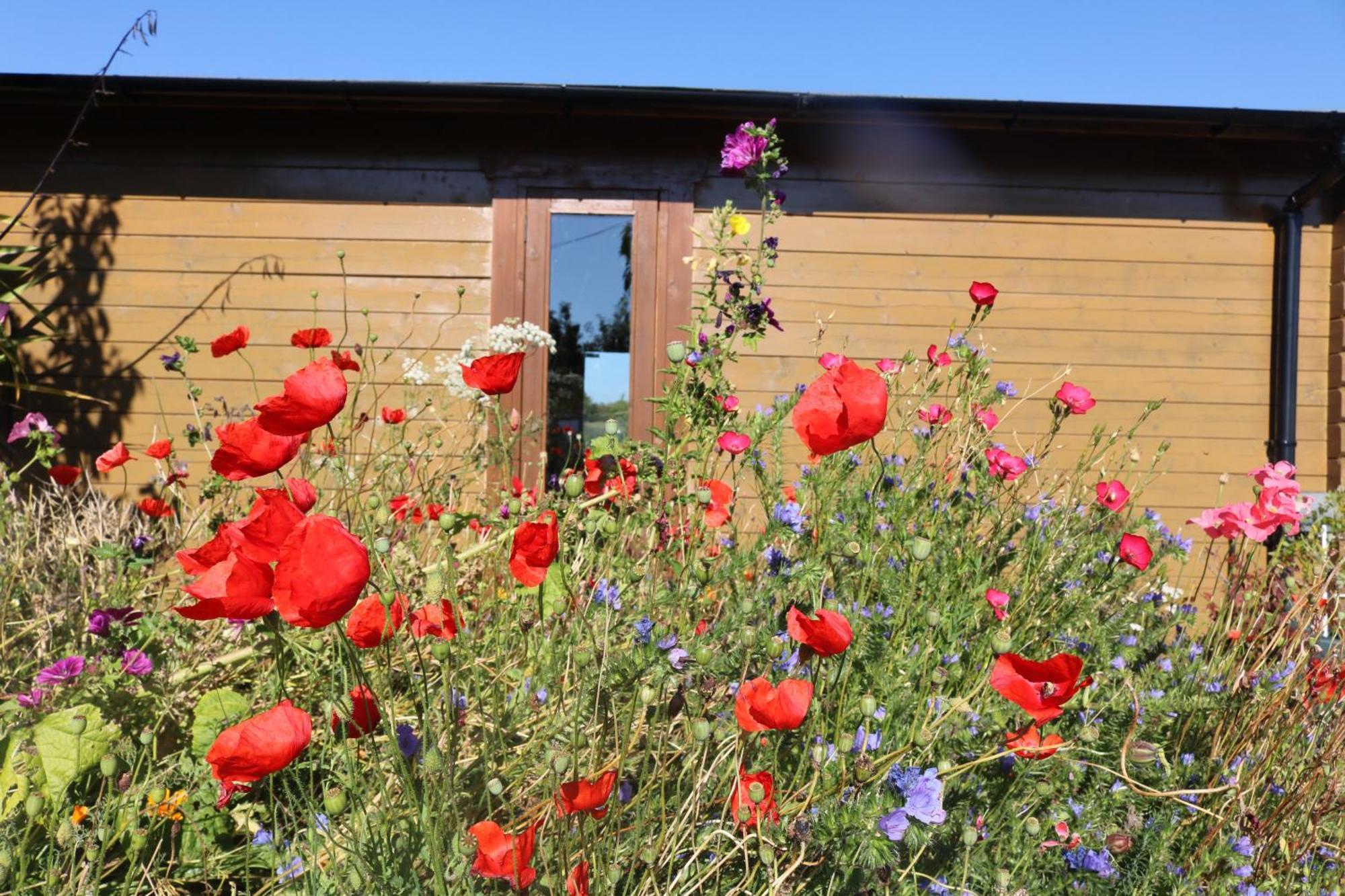 The Cabin Pipershill Newtownbutler 외부 사진